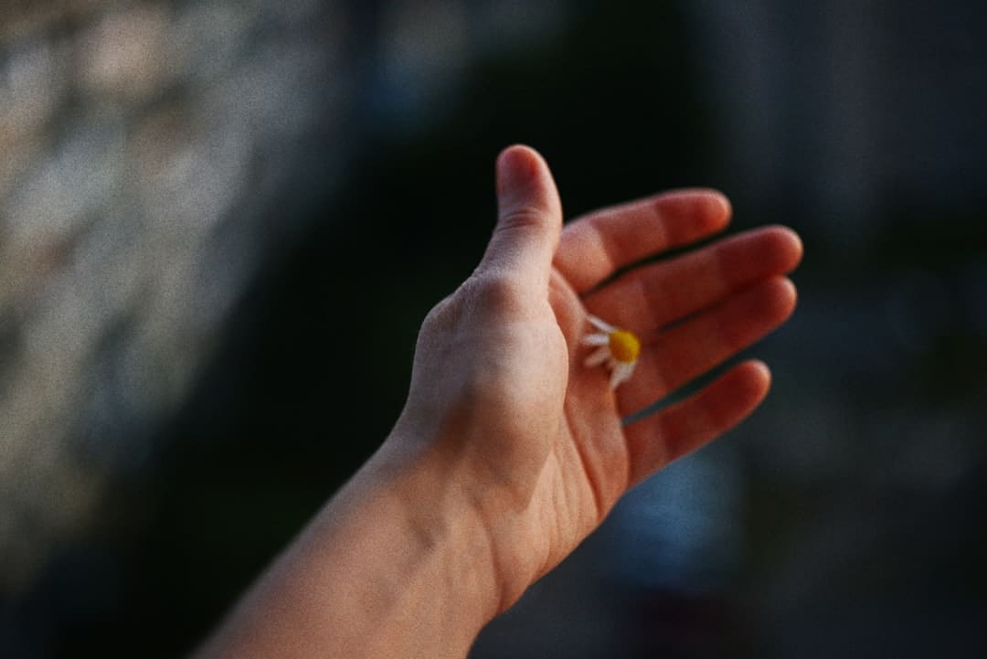 织女看了都点赞 传承非遗才是七夕的“躲藏大招”｜我的节节·七夕篇